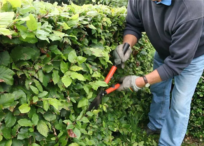 Schneidwerkzeuge und Zubehör