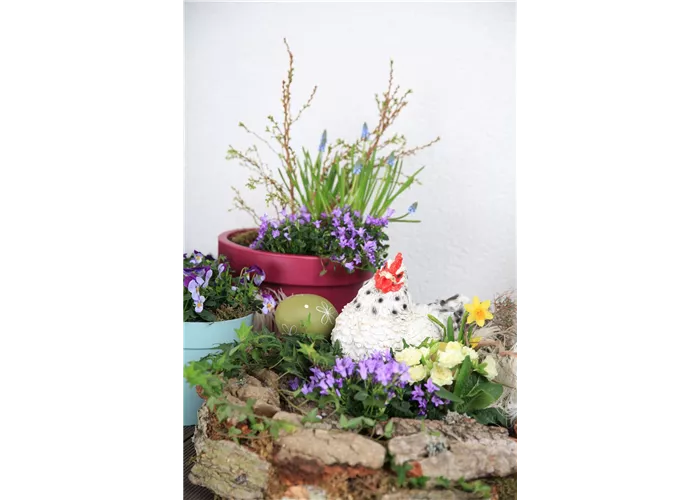 Frühlingsbeginn- Jetzt für Seminare anmelden!