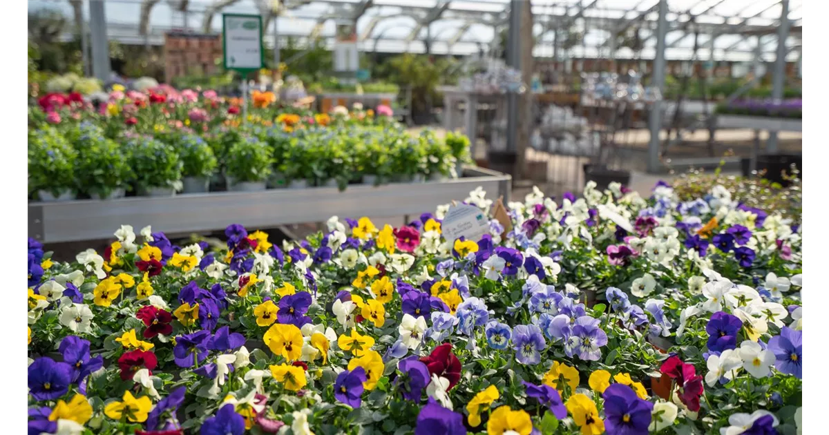 Gartencenter GBS Andresen