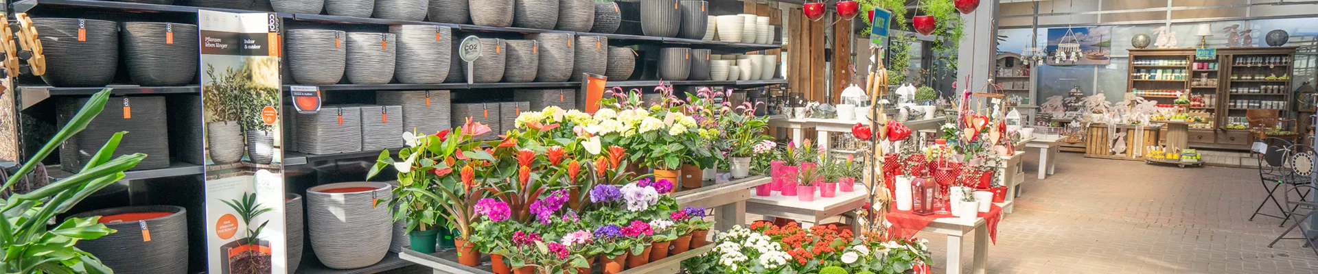 Gartenbaumschule-Andresen_210