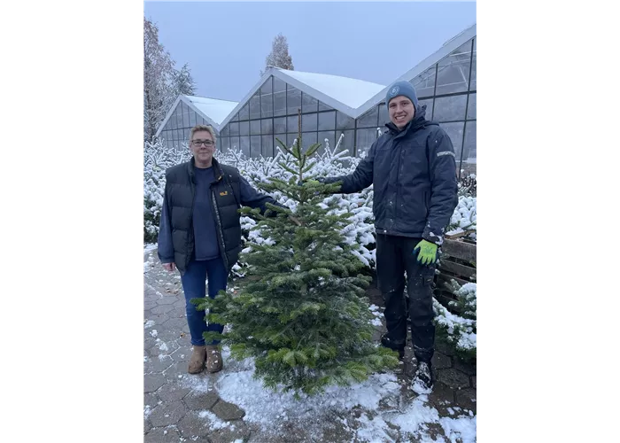 Weihnachtsbaumverkauf