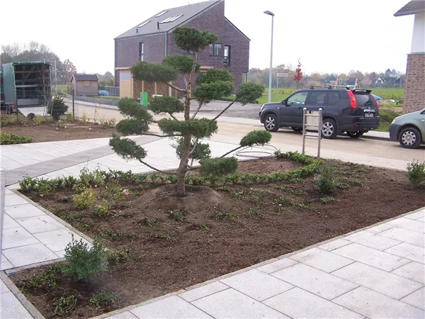 Landschaftsgärtner*in