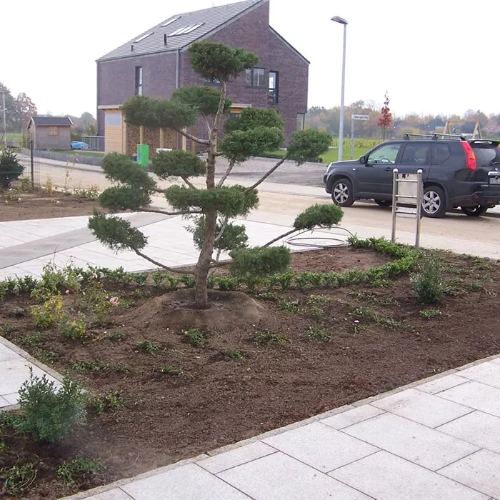 Landschaftsgärtner*in