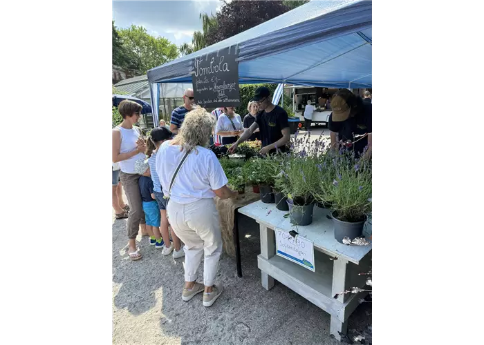 Hof und Weinfest 2026 